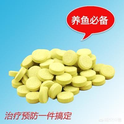锦鲤鱼吃什么药:养鱼的高手来帮我看看我的锦鲤怎么了？