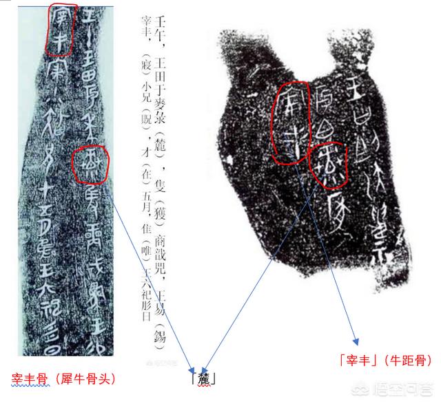 世界上最古老的文物，河南是文物大省，最有名的文物是什么