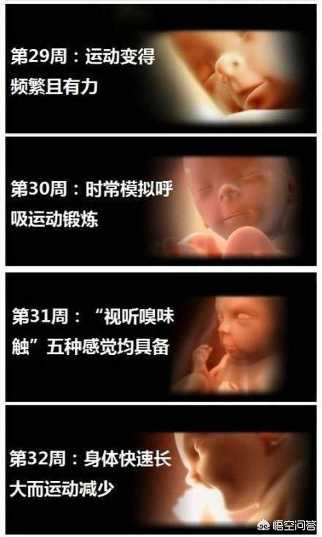 婴儿变化过程是什么样子的？