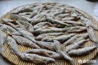 鱼肉狗粮的制作方法:鱼怎么做，猫咪才喜欢吃？ 干狗粮的制作方法