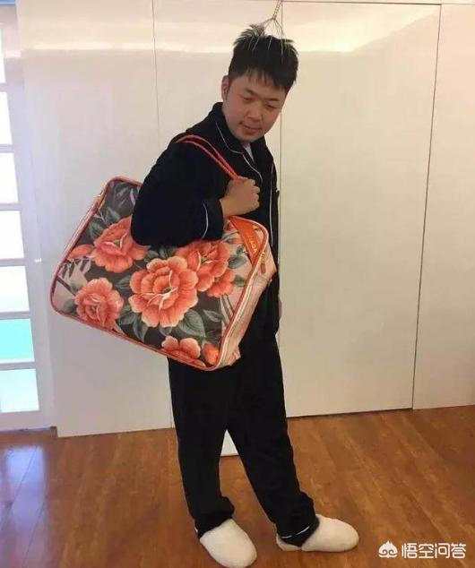 中国狸花猫在国外受欢迎吗:为什么欧洲的奢侈品会那么受国人喜欢？