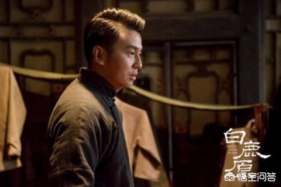 白鹿原停播:电视剧《白鹿原》为什么收视率不高呢？