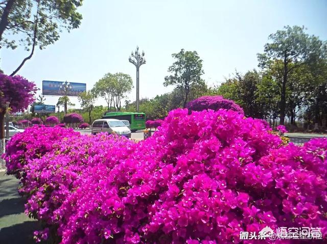 在大学校园里你和异性恋人做过最疯狂的事是什么？
