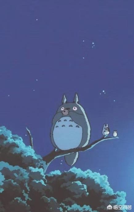 .日本截尾猫:如何评价日本摄影师Yamakawa镜头下的日本流浪猫？
