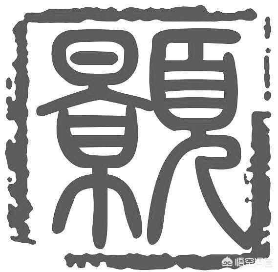 纪录片去哪看？