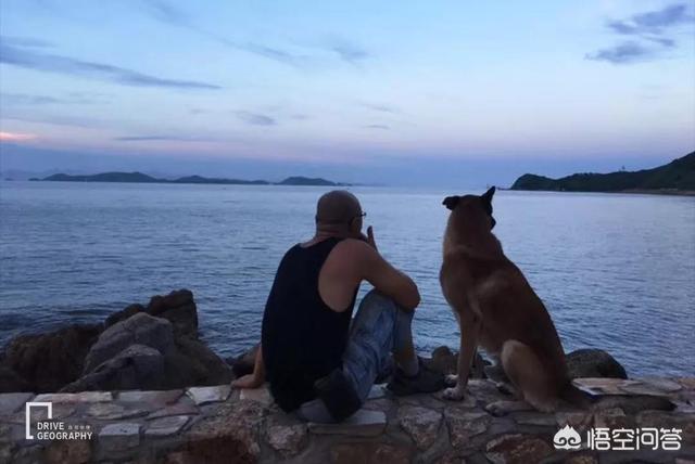带宠物出国旅游:带宠物自驾游是一种怎样的体验？ 带宠物出国旅游回国