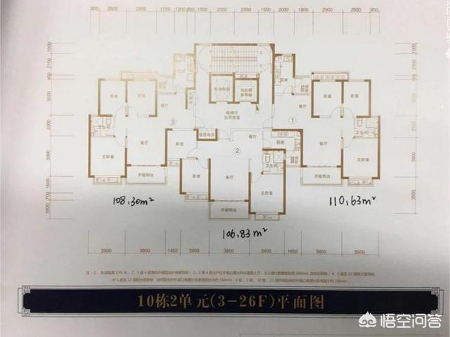 选择中户106平还是东户110平的？插图45