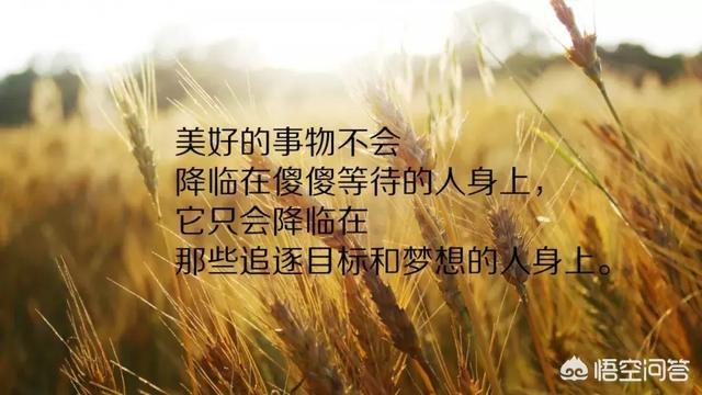 适合发<a href=https://maguai.com/list/256-0-0.html target=_blank class=infotextkey>朋友圈</a>的句子励志短句:有哪些让人眼前一亮的励志句子？(让人眼前一亮的励志句子)