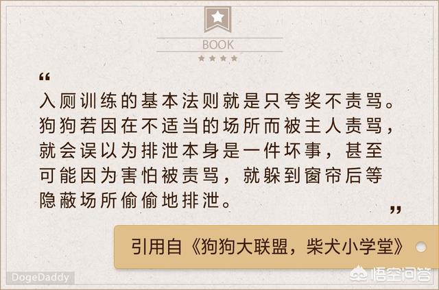 狗狗101柴犬训练:如何正确饲养柴犬？养柴犬需要注意一些什么地方？