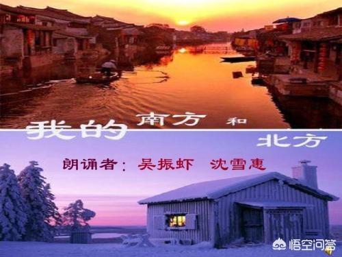 兔八哥东北方言版拳击:三个罗纳尔多历史地位谁最高？