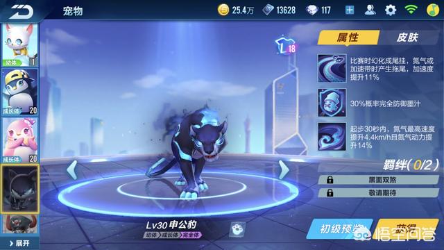 宠物鹰:熬鹰是哪个名族的宠物?他们又有着什么习俗？