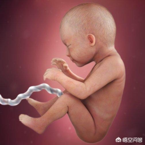 孕晚期是胎儿猛涨期吗？具体是哪几个周？插图36