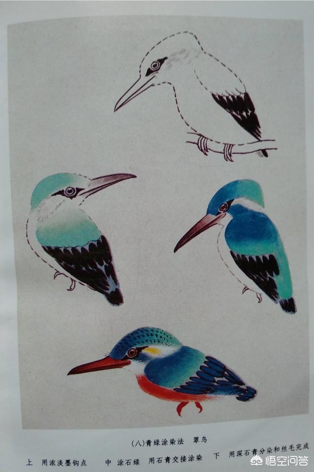 工笔花鸟:画国画花鸟用什么纸比较好？
