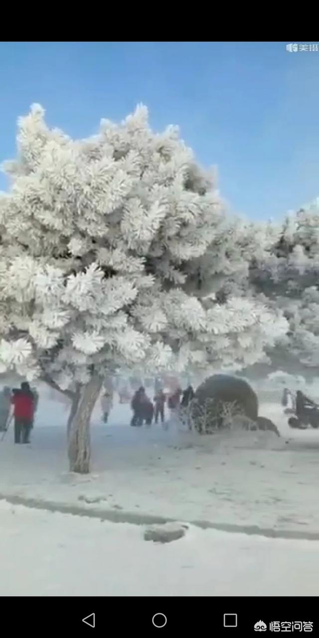 范丞丞是谁:范丞丞，肖战，张彬彬三位你觉得谁比较好看？