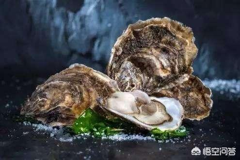 牡蛎可以壮阳吗，谁吃过，牡蛎加工过的食品吗