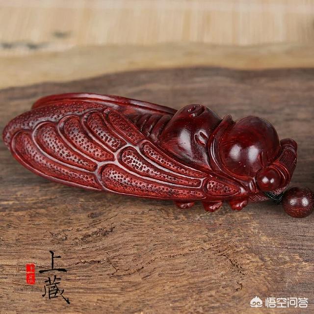 苏门答腊犀牛的特点:猫科猛兽的实力是怎么排行的？