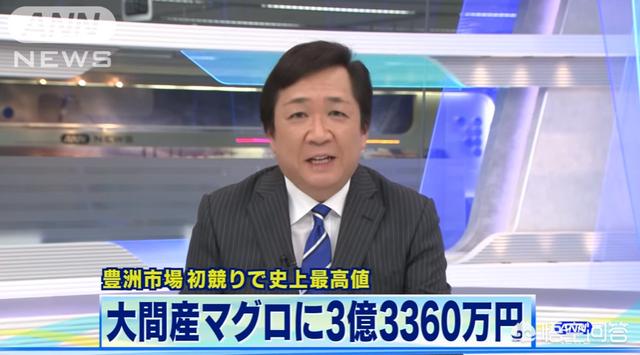 日本龙吐珠鱼价格:日本拍卖2088万天价金枪鱼，价格是否合理，你怎么看？