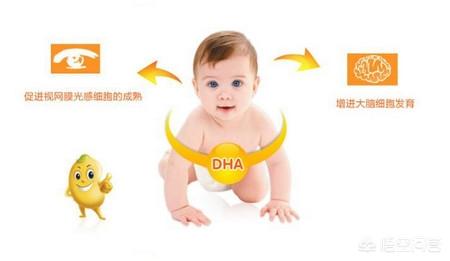 转基因橄榄油可以吃吗:超市里的哪种油可以给宝宝吃？