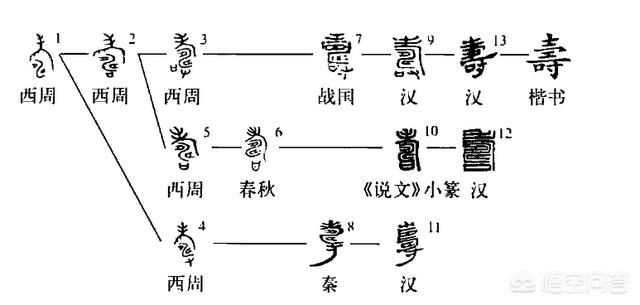 申素毓:「寿」字的小篆写法，为什么下面看起来像是有个甲骨文的申字？