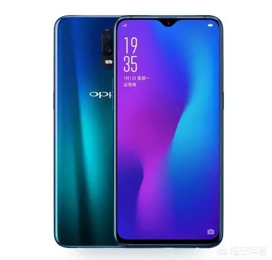 贵州斗狗大赛视频直播:你看到的最奇葩的新闻是什么？