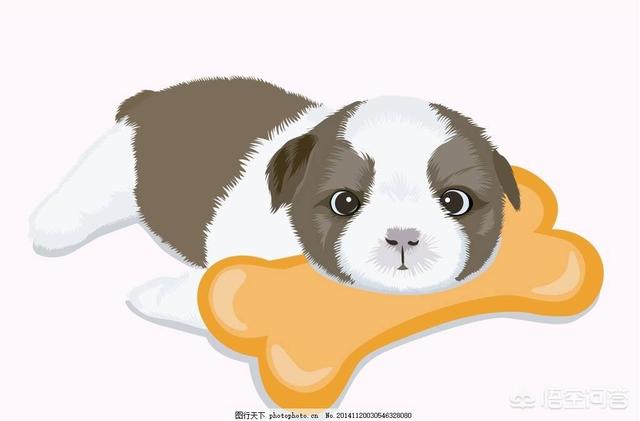 在沙发上休息的波尔多犬图片:在家里为什么狗狗总是要主人抱着它？