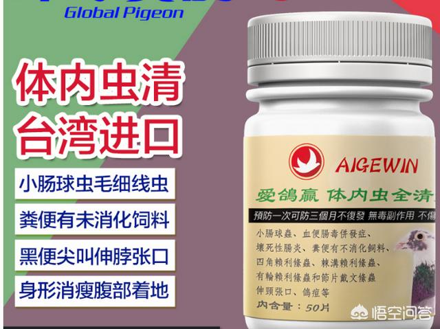 犬虫净驱球虫效果好吗:给鸽子打虫用什么药好？需要注意什么？