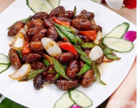 农村老人常说“一个茧蛹三个鸡蛋”,茧蛹真的有这么好吗？