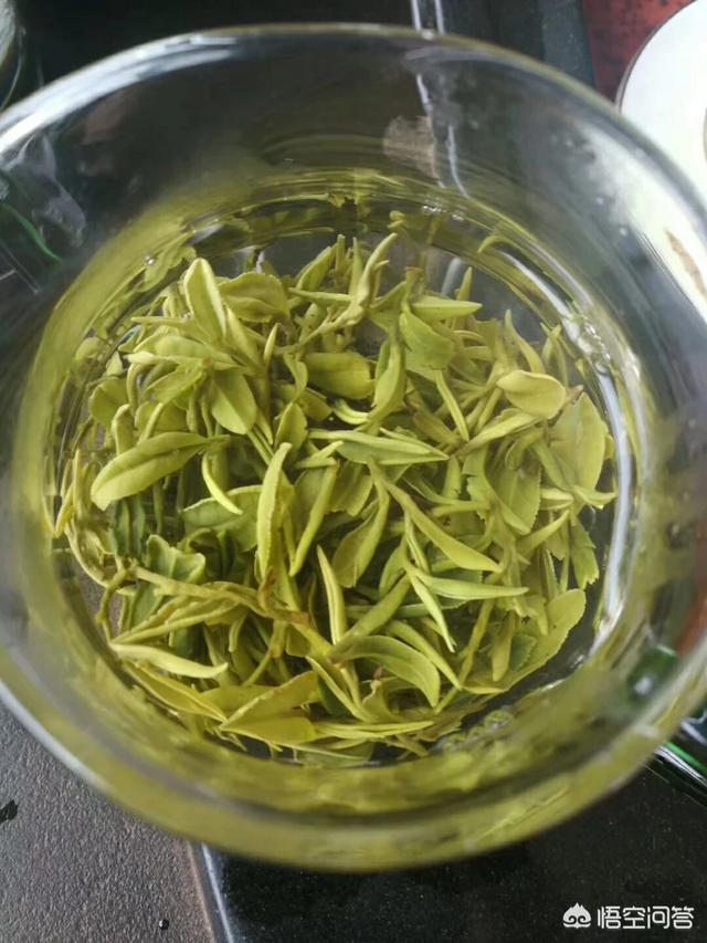 淘寶有哪些實惠的茶葉店鋪可以推薦呢?