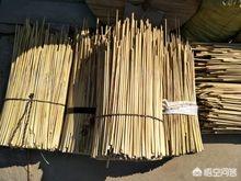 香港哪里能买到克莉丝汀森梳子:有人说翁美玲是一代人心中的“黄蓉”，她为何自杀？