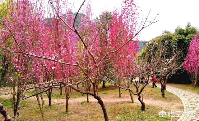 头条问答 春节拍一张全家福对你意味着什么 3个回答