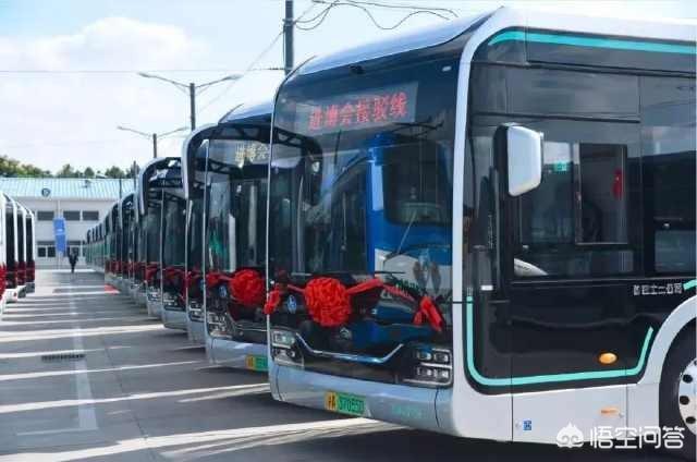 上海新能源公交车，如何看待上海的黑金刚公交车