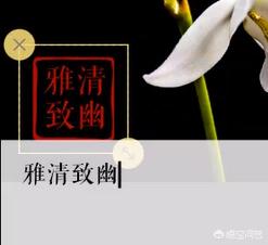 幼儿园名字印章项目如何操作，怎么给手机照片添加上自己的专属小印章？