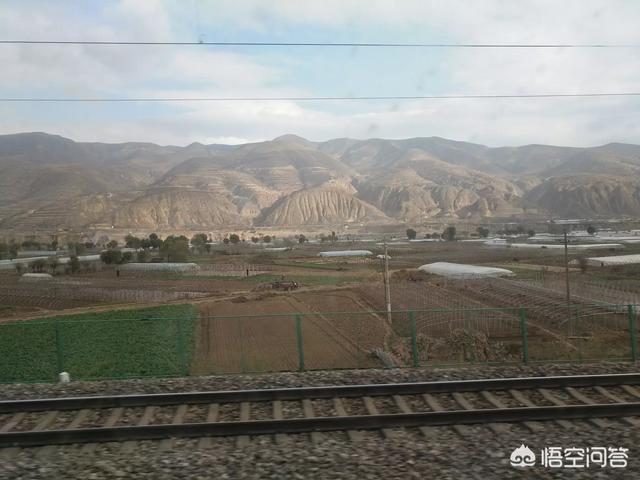 光棍节是哪一天(光棍节是哪一天哪一日)