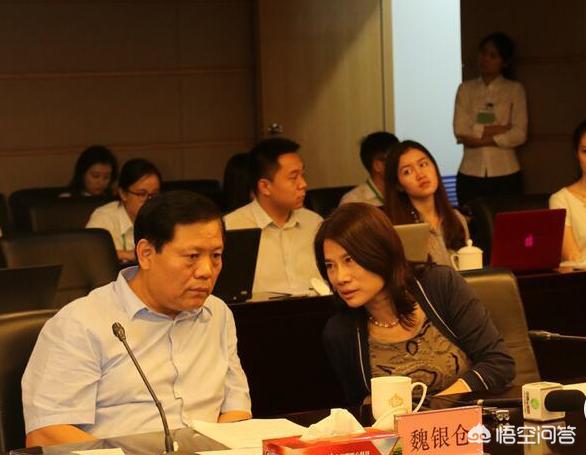 珠海银隆大股东被指侵占公司利益金额超10亿,董小姐、王健林、刘强东都被坑了吗？