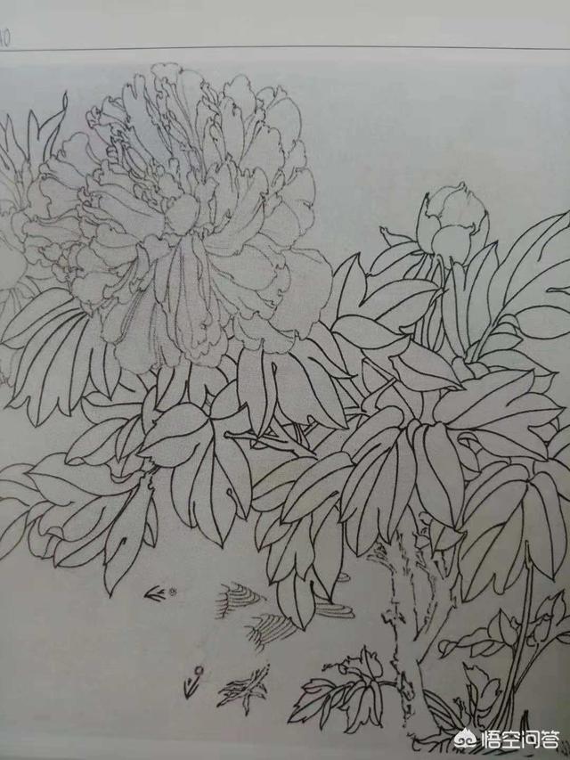 工笔花鸟:国画写意和工笔有什么大的差别？两者可以合用吗？ 工笔花鸟画