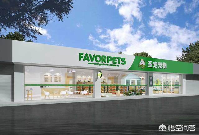 卫塔卡夫猫粮加盟:学生创业开一家宠物店好吗？