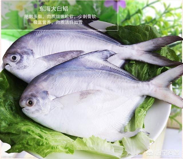 有哪几种比较好的食用海鱼推荐一下？