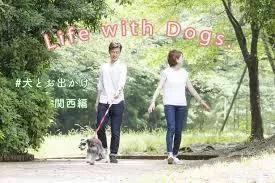 日本 救助犬:随着城市化的推进，流浪狗救助中心一般都会设置在哪里？