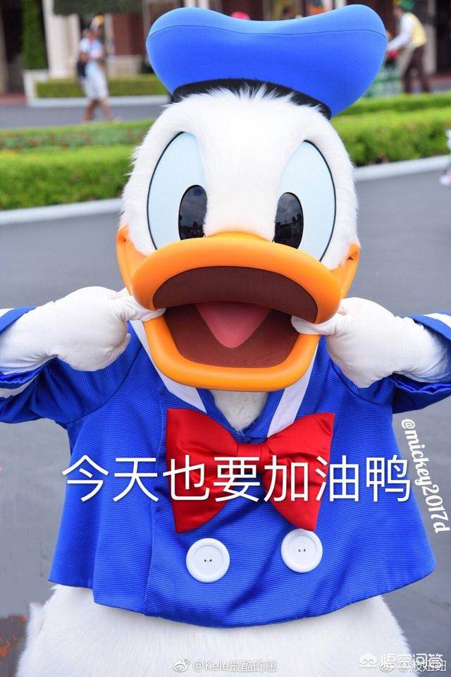 有什么零基础自学英语软件推荐？