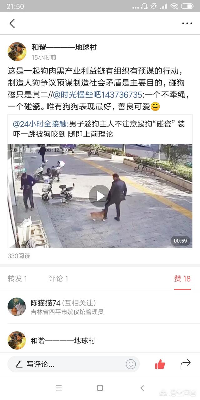 狗伤人指数:为什么说杭州男狗主比狗更可恶、更可怕？ 狗的智商指数