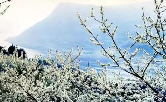 我的农场庄园(我的农场庄园2)