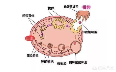 头条问答 