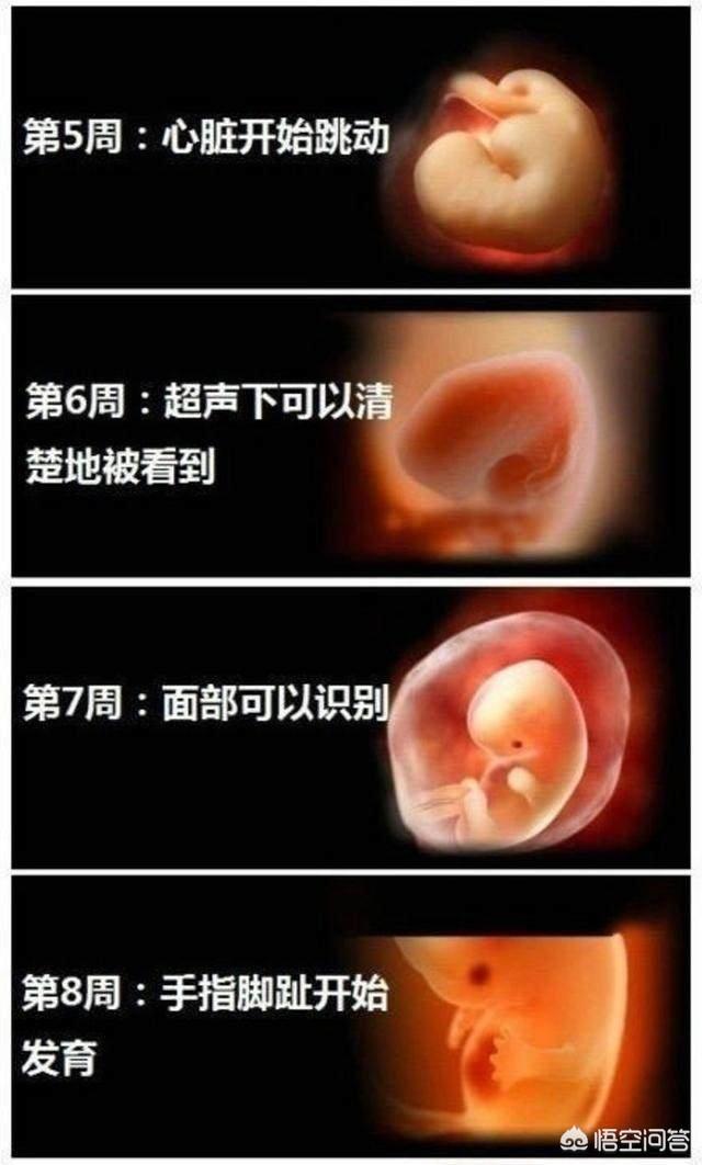 婴儿变化过程是什么样子的？