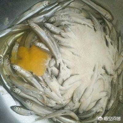 鱼肉狗粮的制作方法:鱼怎么做，猫咪才喜欢吃？ 干狗粮的制作方法
