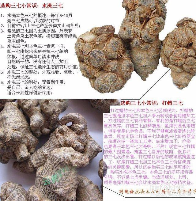 头条问答 - 如何分辨三七头的好坏?(9个回答)