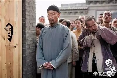 白鹿原停播:电视剧《白鹿原》为什么收视率不高呢？