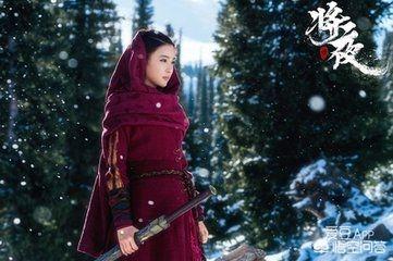将夜的演员:电视剧《将夜》中孟子义饰演的道痴叶红鱼，你觉得怎么样？
