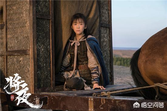 将夜的演员:电视剧《将夜》中孟子义饰演的道痴叶红鱼，你觉得怎么样？