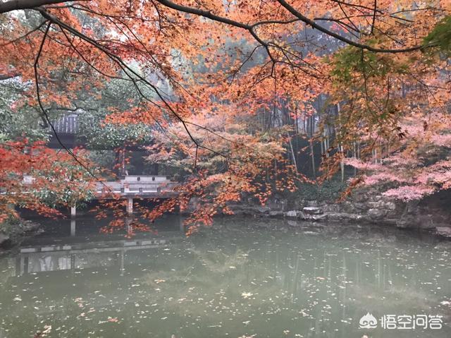 唐玄宗李隆基:李隆基到底是什么样的人？