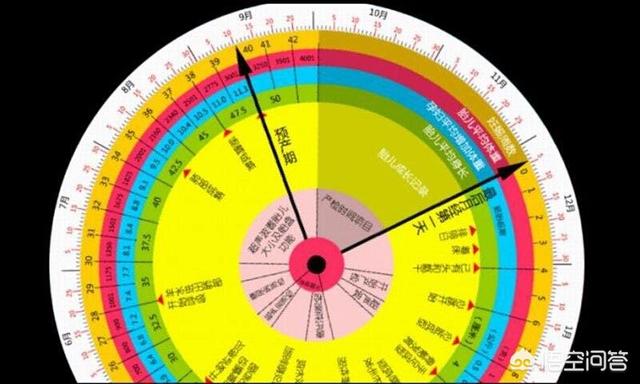 头条问答 怀孕是不是从来过月经之后开始算 还是没有来过月经那天算 41个回答